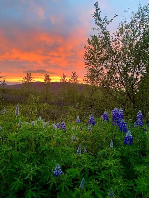 Luxury Cottage Located In The Golden Circle, Mountain View! Laugarvatn Ngoại thất bức ảnh